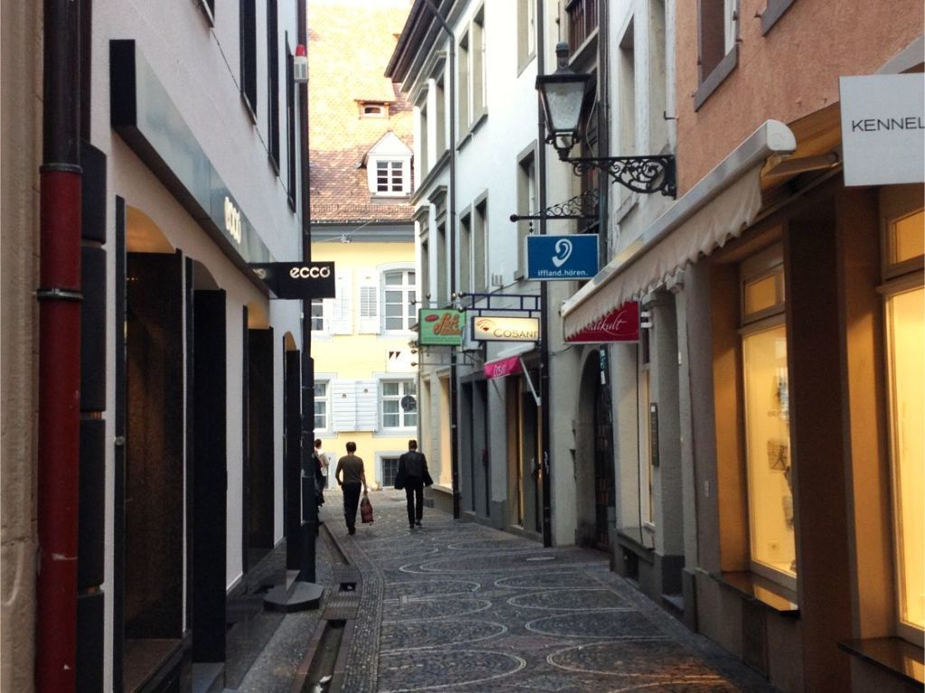 Paseo por Freiburg y alrededores Alemania 15