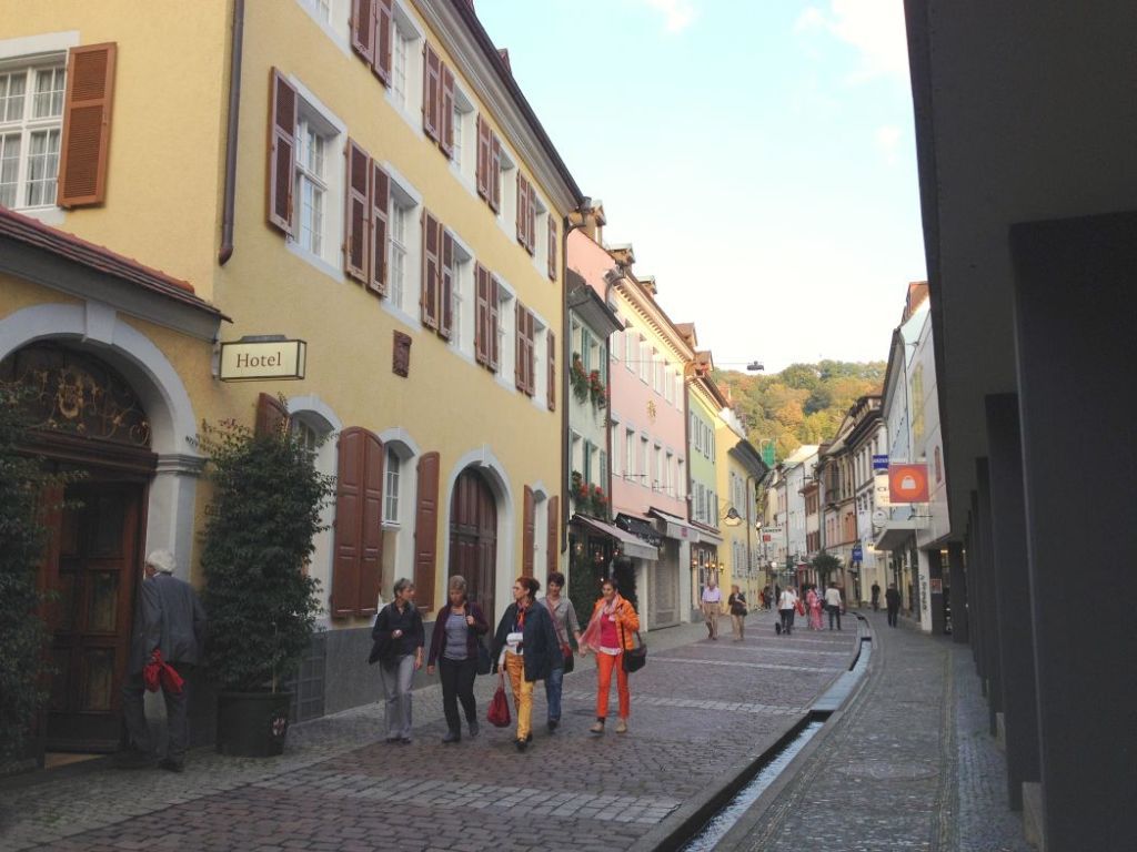 Paseo por Freiburg y alrededores Alemania 17