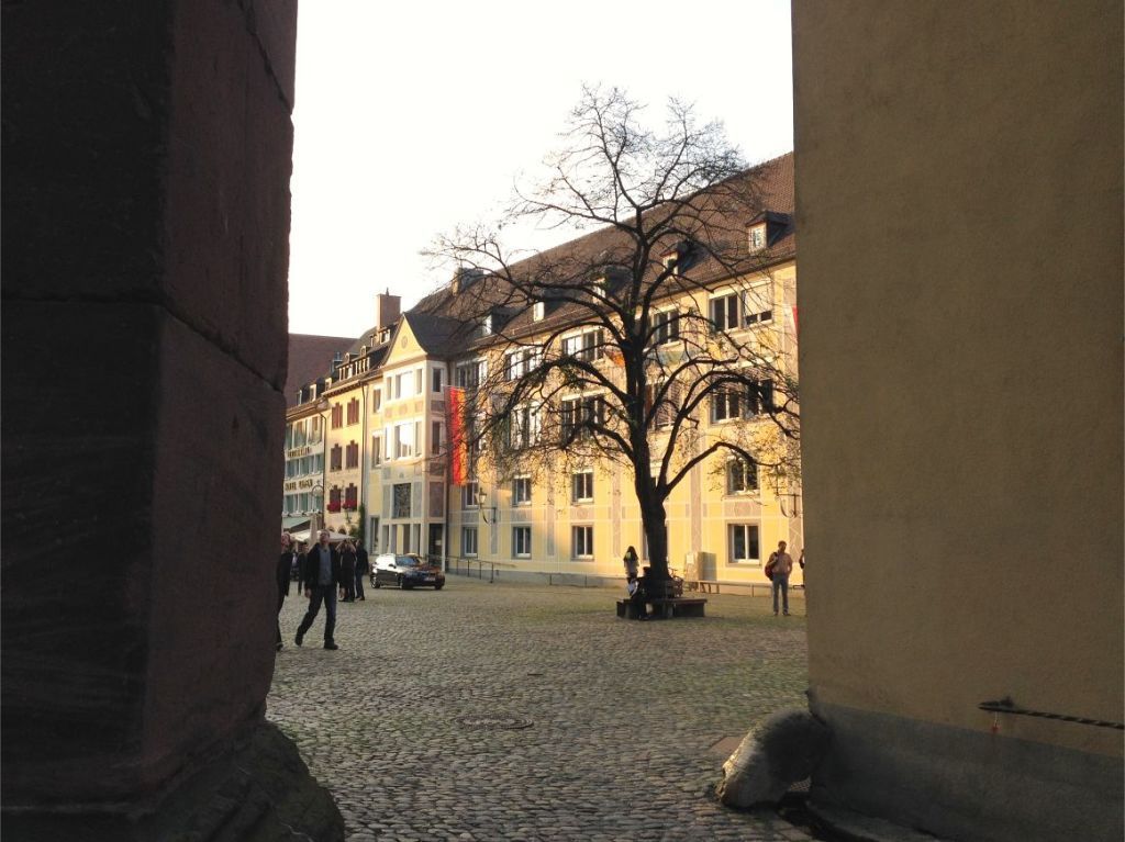 Paseo por Freiburg y alrededores Alemania 25