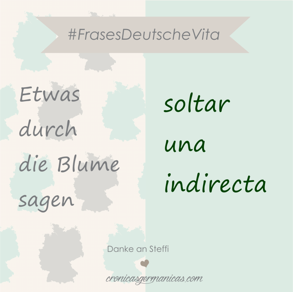 etwas durch die Blume sagen