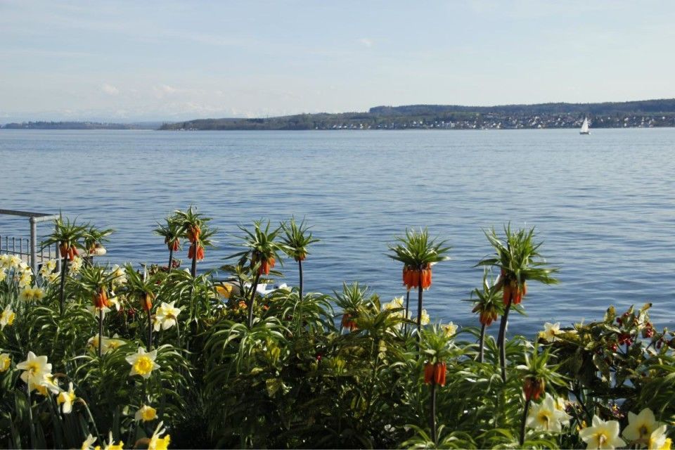 04 Bodensee