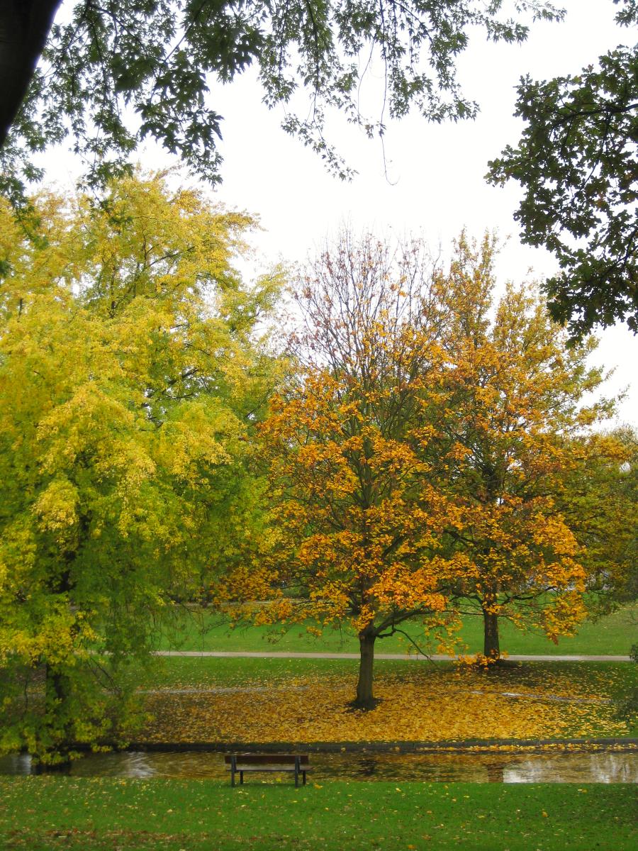 03 parque Hambugo