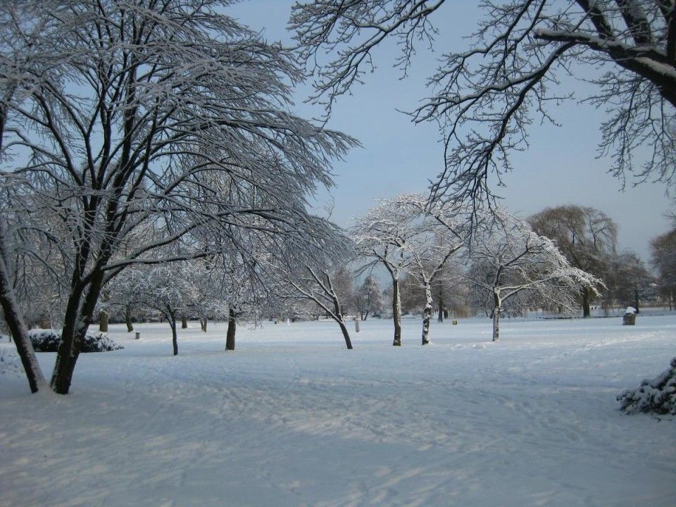 27 parque nevado