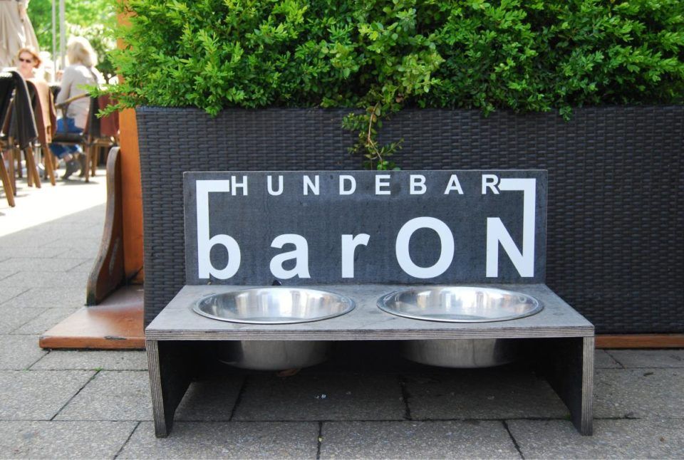11 Hundebar baron