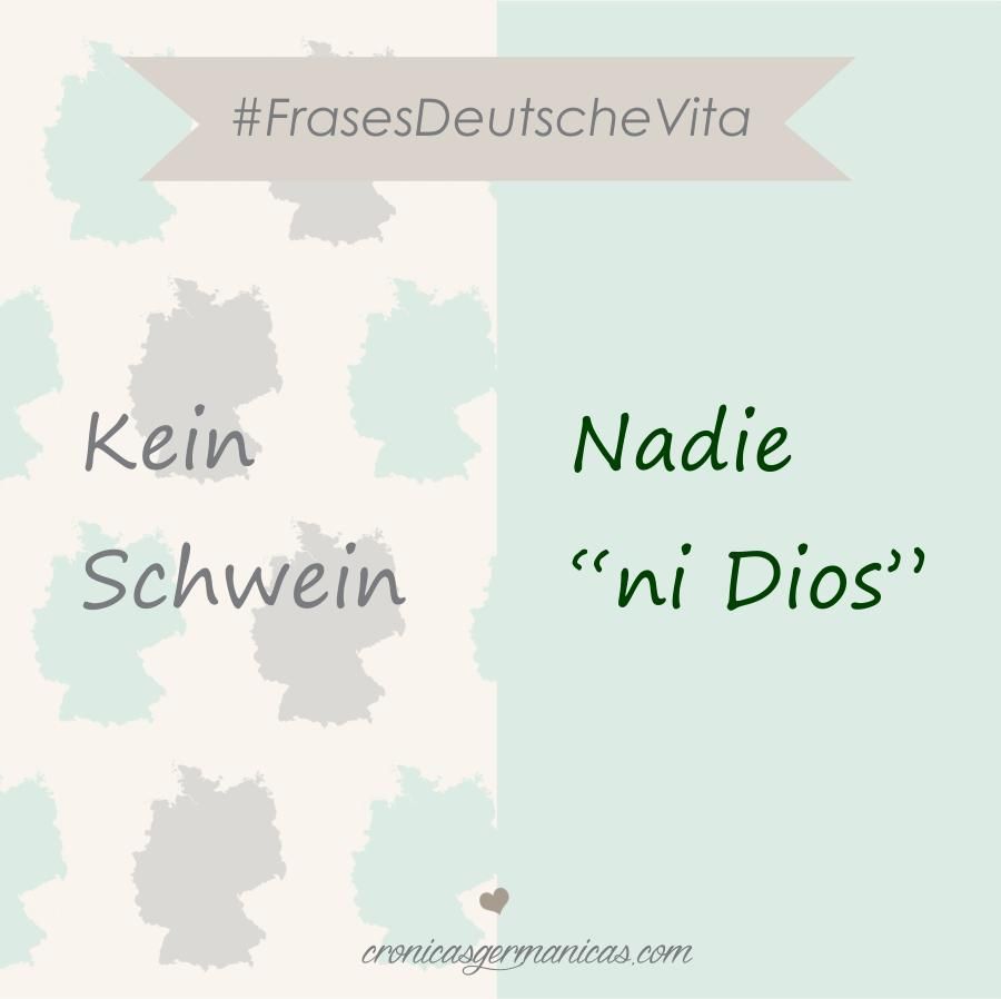 kein-schwein