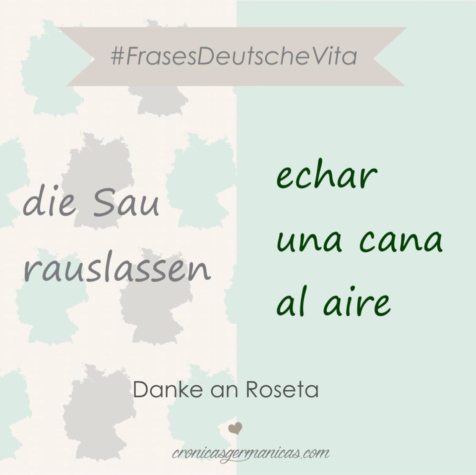 die-sau-rauslassen